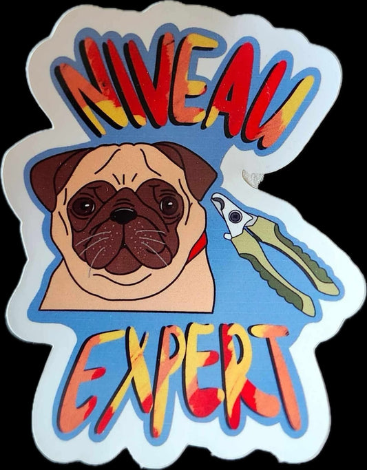 Autocollant "Niveau expert" (1/3$ ou 5/10$)