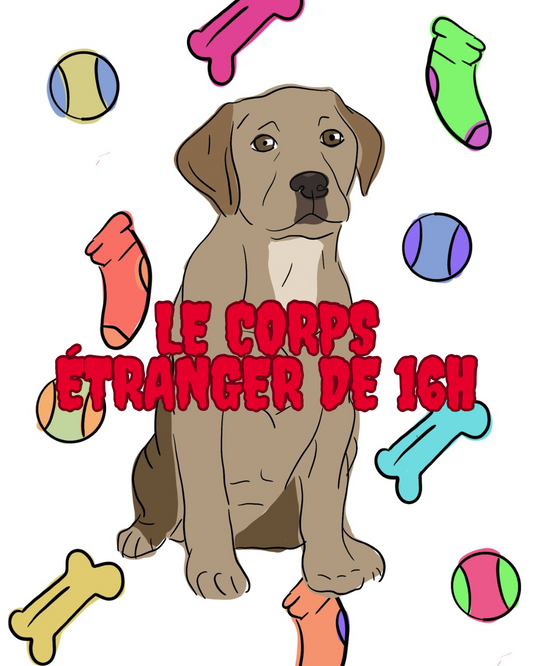 Autocollant "Le corps étranger de 16h" (1/3$ ou 5/10$)